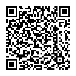 所以吸收了他一部分记忆碎片的林封谨也是懂得一些阵法的运作原理二维码生成