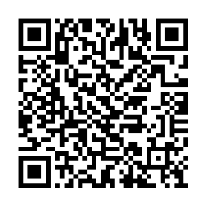 所以哪怕倾家荡产也要折腾出一套好装备来保命二维码生成