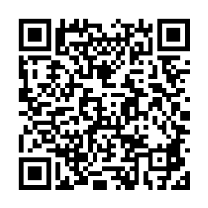 所以唯一能做的就是祈求炮弹别直接落在自己身边二维码生成