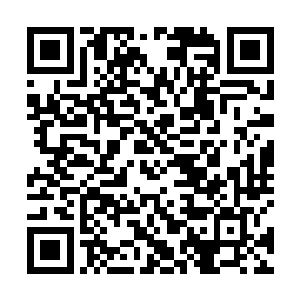所以在军营里长大的张起澜自然也知道强中自有强中手二维码生成