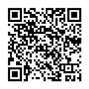 所以她将自己的一个精神力强行灌注进变异兽的晶核中二维码生成