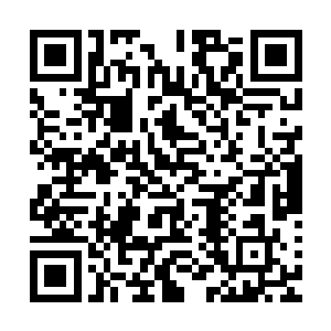 所以她才会在末世开始他们还没有变得厉害的时候就收拢他们二维码生成