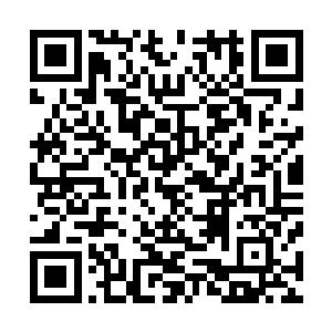 所以开着一辆破桑塔纳来接徐娇娇的时候把徐娇娇惊得不轻二维码生成