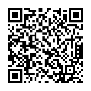 所以当她以为自己将会听到的又是一番洋溢着赞美二维码生成