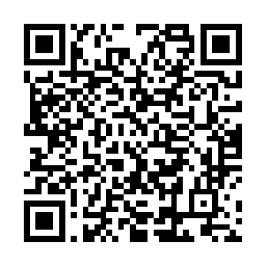 所以当尼尔王和胡莲要求他必须前往王城申诉和说明时二维码生成