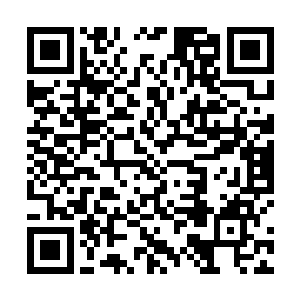 所以当龙战突然拦住一个要过来的人的时候都吃了一惊二维码生成