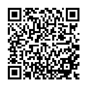 所以很多看上去是作恶的事情在她眼里还没有饿她两顿来得惨二维码生成