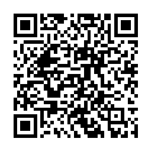 所以我们完全可以等到明天第二批白银杀手的到来二维码生成