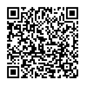 所以我们现在见到的大红有可能根本就不是那个原本从灵界来的师家人了二维码生成