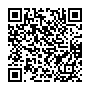 所以我估计澳洲这批华夏武林高手应该下周就能到二维码生成