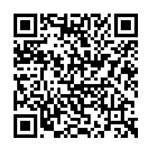 所以我这次带来了暗水仙帝提前准备的好的东西二维码生成