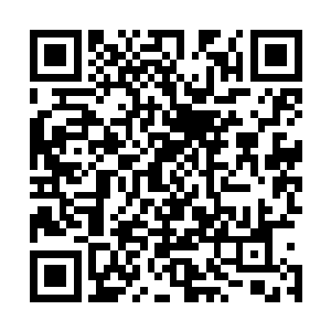 所以才会一次次拨通我的电话……我换号了你有没有很愤怒二维码生成