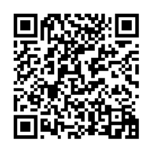 所以才把自己江家未来的希望――江逐流交给他来教导照顾二维码生成