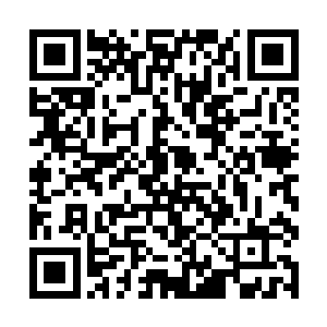 所以拼尽全力勉强用手机一个字一个字抠了两章出来二维码生成