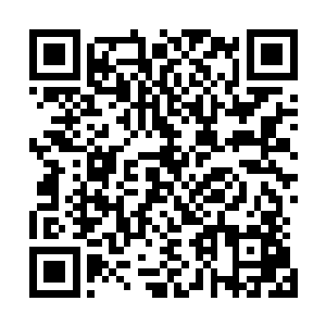 所以接下来管家领着他们俩在经过一条富丽堂皇长廊的时候二维码生成