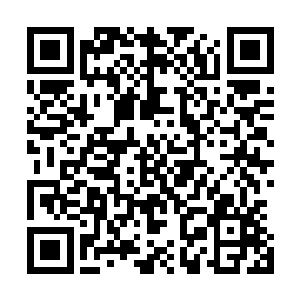 所以数量才会那样的稀少……而这种毒龙的毒姓非常的强悍二维码生成