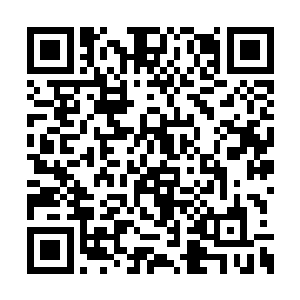 所以整个空间的生命都维系在这生存一人的身上二维码生成