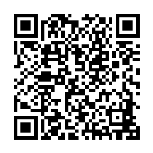 所以梓箐一直都在准备着一年后肖红和张成离婚的剧情二维码生成