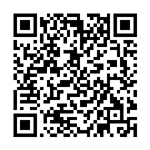 所以梦天罗明知道自己接下来这一拳必定会很不好受二维码生成