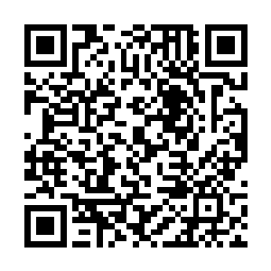 所以此刻在他看来那恶鬼皇很可能只是一个外强中干二维码生成