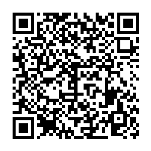 所以爷爷我担心大皇子最近可能会做出一些对我们龙家不利的举动二维码生成