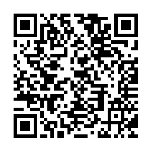 所以王世子还真不相信当他将准备好的资料摆到这位唐教授面前二维码生成