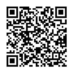 所以现在的人类聚集地距离先前的维京基地只有不到一百里二维码生成