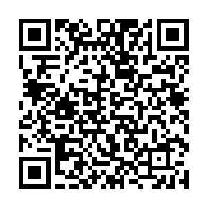 所以现在的张阳从一瞬间的兴奋到一瞬间的绝望恐惧二维码生成