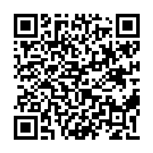 所以祝海山才会跟自己最欣赏的孙子祝植淳说谎二维码生成