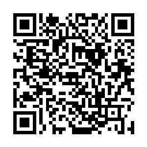 所以自己是因为性格和墨墨主人不同而被他们怀疑了吗二维码生成
