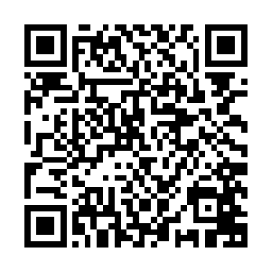 所以蒋义男只能眼睁睁的看着这几个乞丐大摇大摆的进了餐厅二维码生成