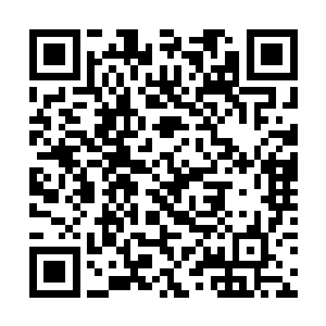 所以言见等人便是各自分开选择了一座山头打坐休息二维码生成