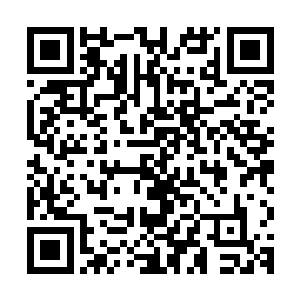 所以说了飞龙部落雪天的时候还是跟他们一样住山洞吃那些食物二维码生成