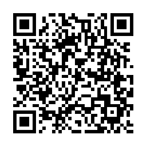 所以这一次也是和我一块儿会昌江来看看有没有机会二维码生成
