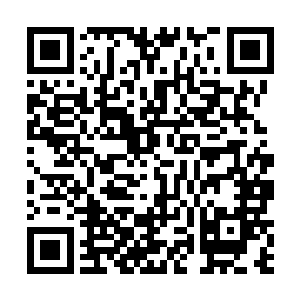 所以这帮人就真的开始把自己当成了胡赛第一牛突击队二维码生成