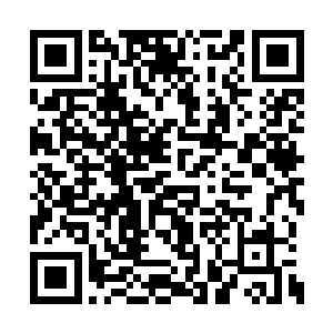 所以连专心练剑的千叶好武也被他们的对话吸引二维码生成