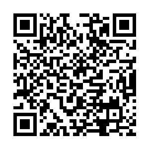 所以那些小儿女们都伸长了脖子看着店铺里的各式各样的鸡鸭二维码生成