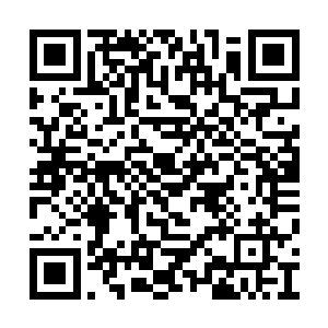 所以那位大人当年到底陨落在何处已经无人知晓二维码生成