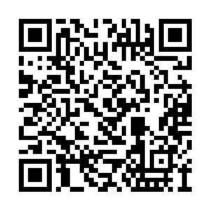 所以那几十个玉瓶全都在他们的尸体附近散落着二维码生成