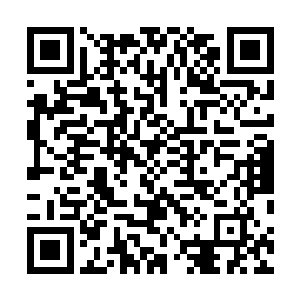 所以那桑和马迪奇见背负长剑的李川根本没有逃走的意思二维码生成