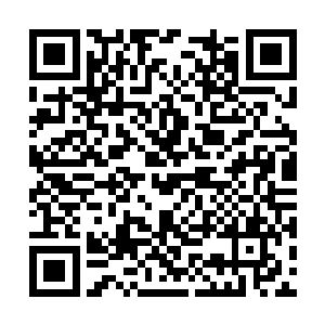 所以那迎仙官一说可以自行离去寻找立足谋生之地二维码生成