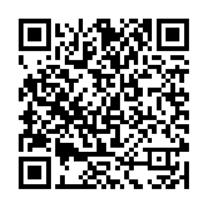 所以除了一个倒霉鬼被歪打正着击中胸部当场毙命外二维码生成