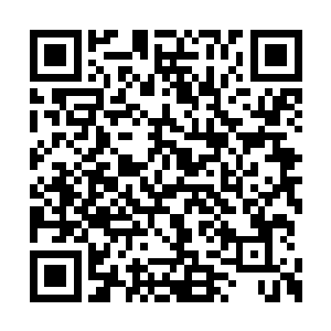 所以龙傲天基本上对着龙岛展开了地毯式的搜索二维码生成