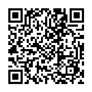 所有事情都可以等到我们见识了乐队的实力之后再作讨论二维码生成