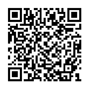 所有人的目光全都集中在了妙丹山三长老的身上二维码生成