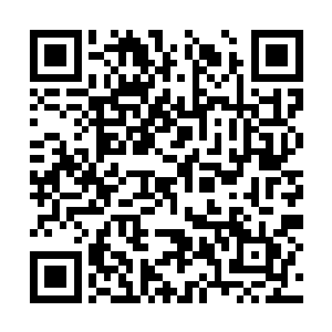 所有人都以为他会在这里虔诚地送上他的信仰之力二维码生成