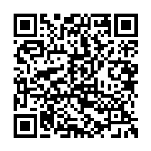 所有人都在纷纷解下身上的带有浮力的作战背心二维码生成
