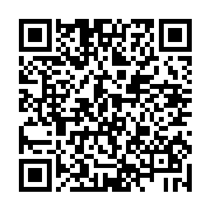 所有人都接下去的二等机缘和一等机缘也更加的期待二维码生成