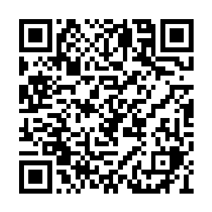 所有人都看到了那朝着火焰之刀席卷而去的风暴二维码生成