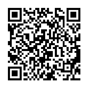 所有帆船的证明和资料上都明明白白的写着这个词儿二维码生成